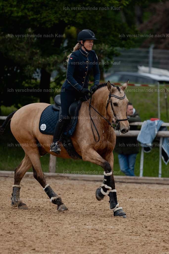 PI26_SP_StoibphotographyC2_C0836.jpg | working equitationturnier fotograf videograf stoibphotography marixx film working equitation deutschland reitsport turnierfotografie eventfotografie equestrian events
