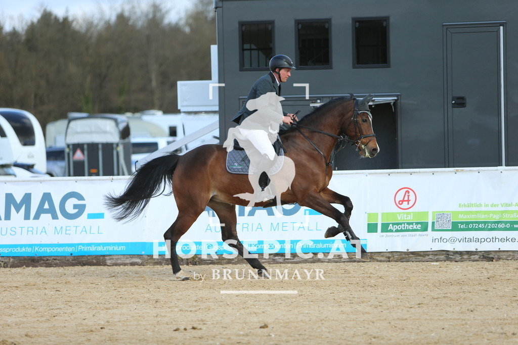 DL2Q0880 | Willkommen bei Brunnmayr - Design & Fotografie – Ihrem Spezialisten für Reitturniere und Pferdeveranstaltungen in Oberösterreich, Salzburg und Bayern! Seit über 17 Jahren sind wir leidenschaftlich dabei.