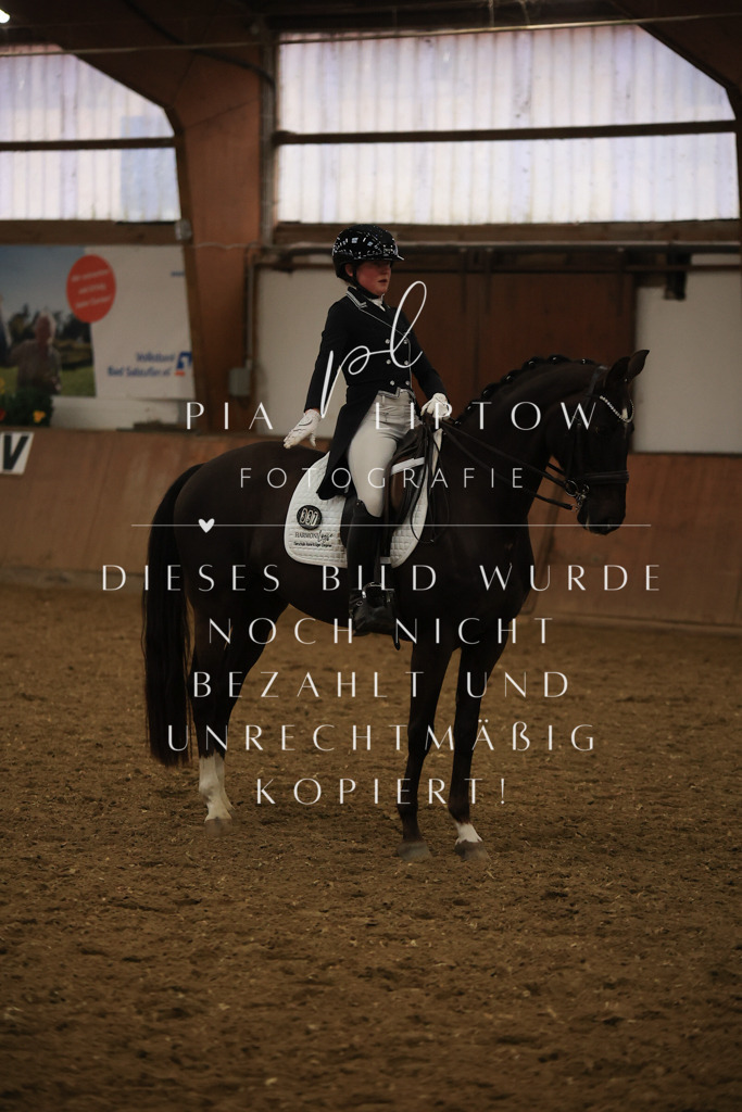 IMGT6225 | pl-fotografie