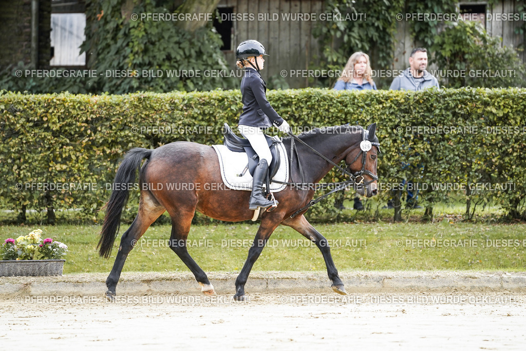 DSC05239 | Pferdegrafie