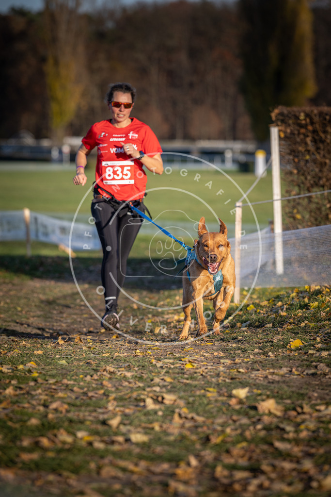 CaniXpix_DV3A3549 | Hundefotografie, Tierfotograf, Pfotenfotografie, Fotoshooting Hund, Hunde Portrait, Hundesport, Hundeportraits, Heideshooting, Hunde, Sportfotograf, Hundefotograf, Turnierhundsport, THS,  - Realisiert mit Pictrs.com