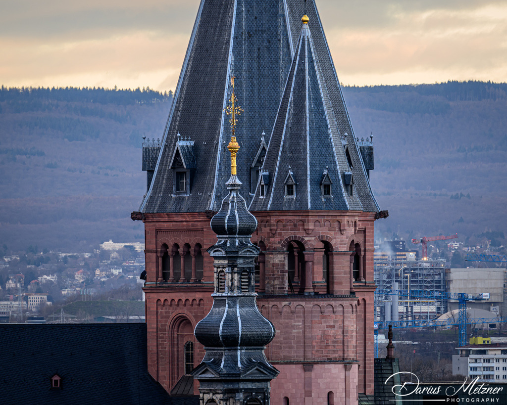 Der Hohe Dom St. Martin zu Mainz | Der Hohe Dom St. Martin zu Mainz