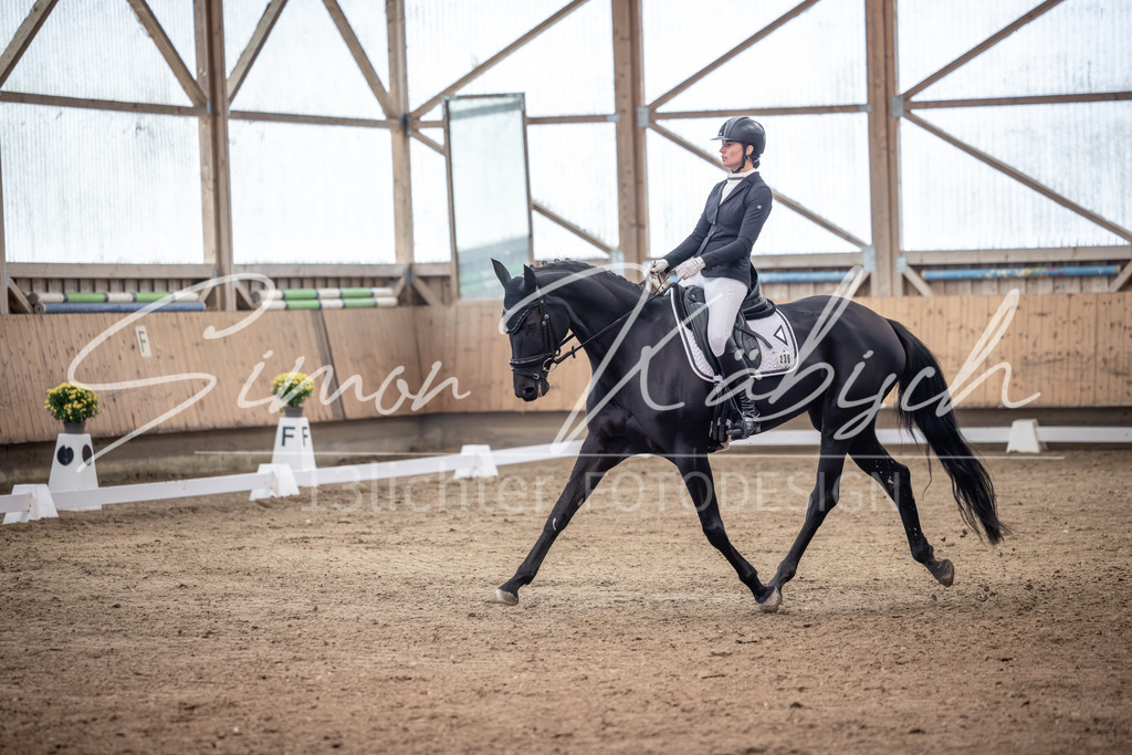20251011-_3LI1531 | Tierfotografie Pferde, Hunde, Katzen, Haustiere.
Turnierfotografie Reitturniere, Reiten, Springreiten, Dressur in Hanau, dem Main-Kinzig-Kreis und dem Rhein-Main- Gebiet um Frankfurt