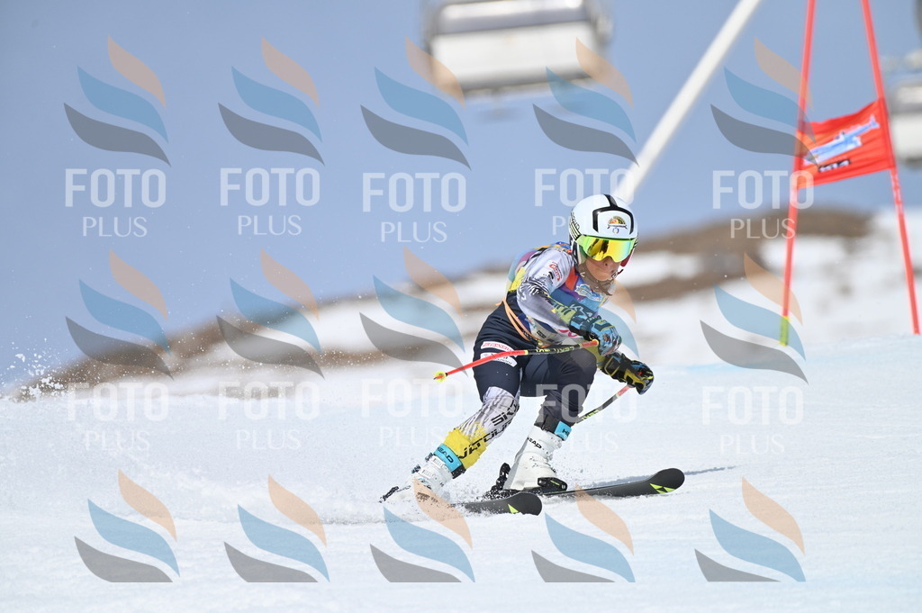 BGV_3834 | holidayphoto