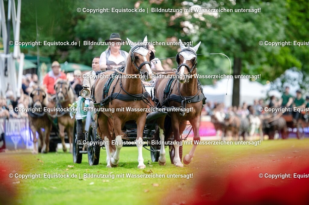 20250606_Lange-Pferdenacht_0149 | Foto: Thomas Hartig