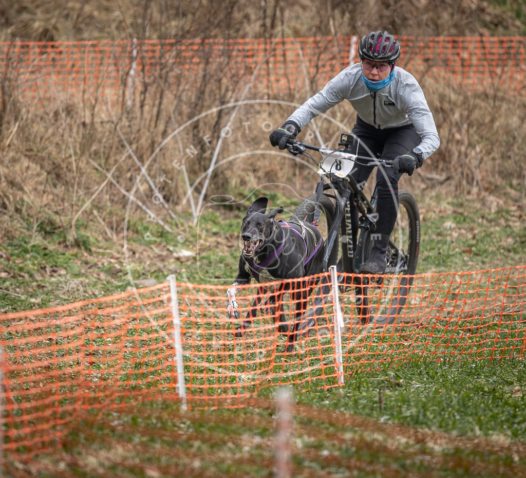 Pfotenfotografie_DV3A6532 | Hundefotografie, Tierfotograf, Pfotenfotografie, Fotoshooting Hund, Hunde Portrait, Hundesport, Hundeportraits, Heideshooting, Hunde, Sportfotograf, Hundefotograf, Turnierhundsport, THS,  - Realisiert mit Pictrs.com