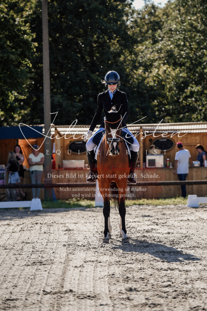 DSC_0326 | Pferde- und Turnierfotografie in Westsachsen. Pferdeportraits, Auftragszeichnungen und intuitive Kunst.