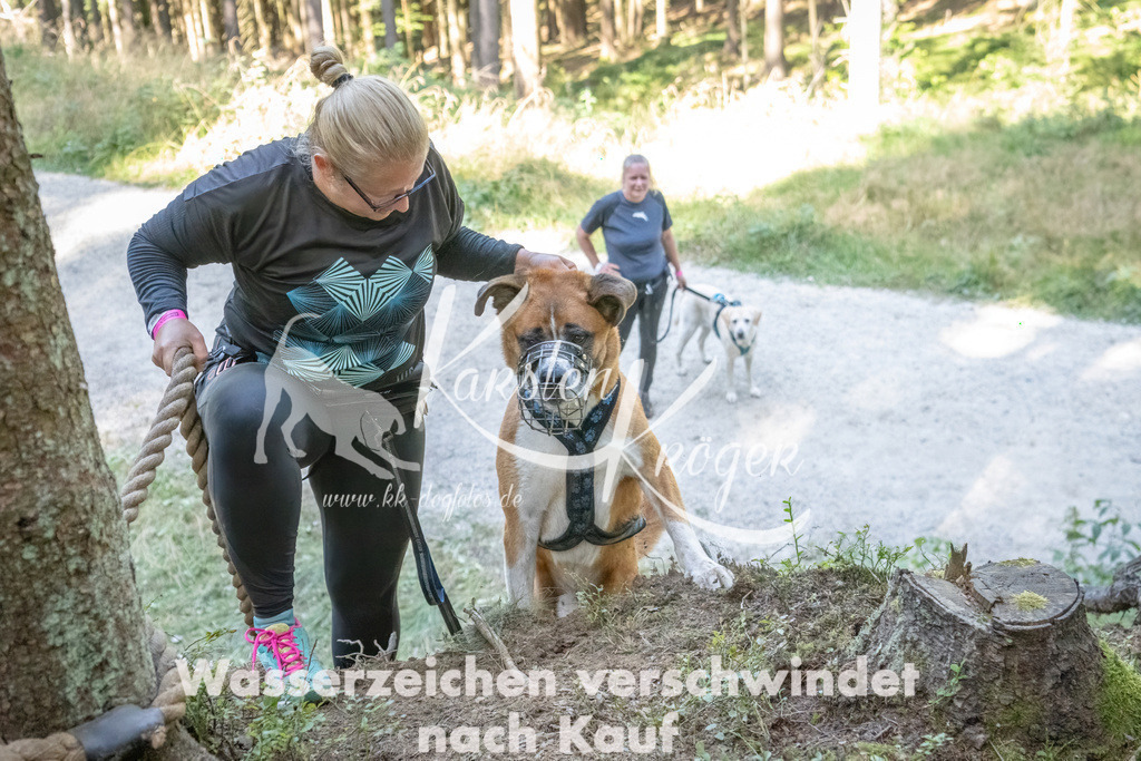 1201_ZZ93043 | kk-dogfotos