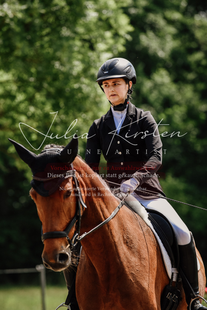 DSC_0962 | Pferde- und Turnierfotografie in Westsachsen. Pferdeportraits, Auftragszeichnungen und intuitive Kunst.