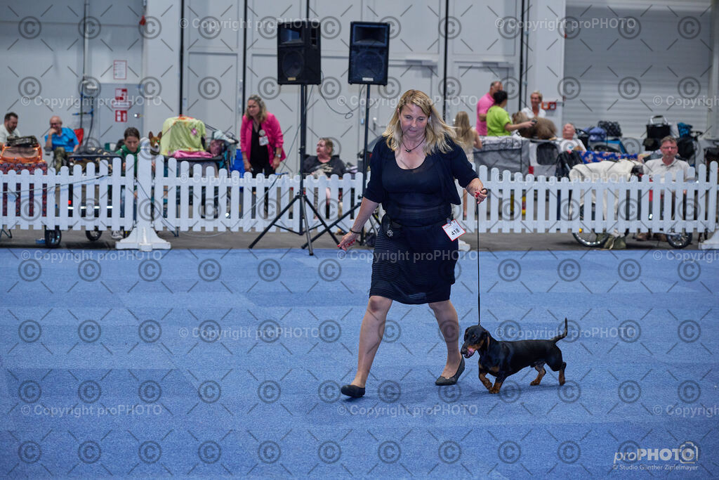 202406_ÖKV-IHA-Tulln24_NZ9_7830 | proPHOTO - Realisiert mit Pictrs.com