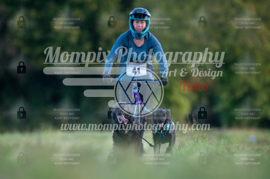 CDLBDB_15_10_2023_Dimanche-90 | mompixphotography