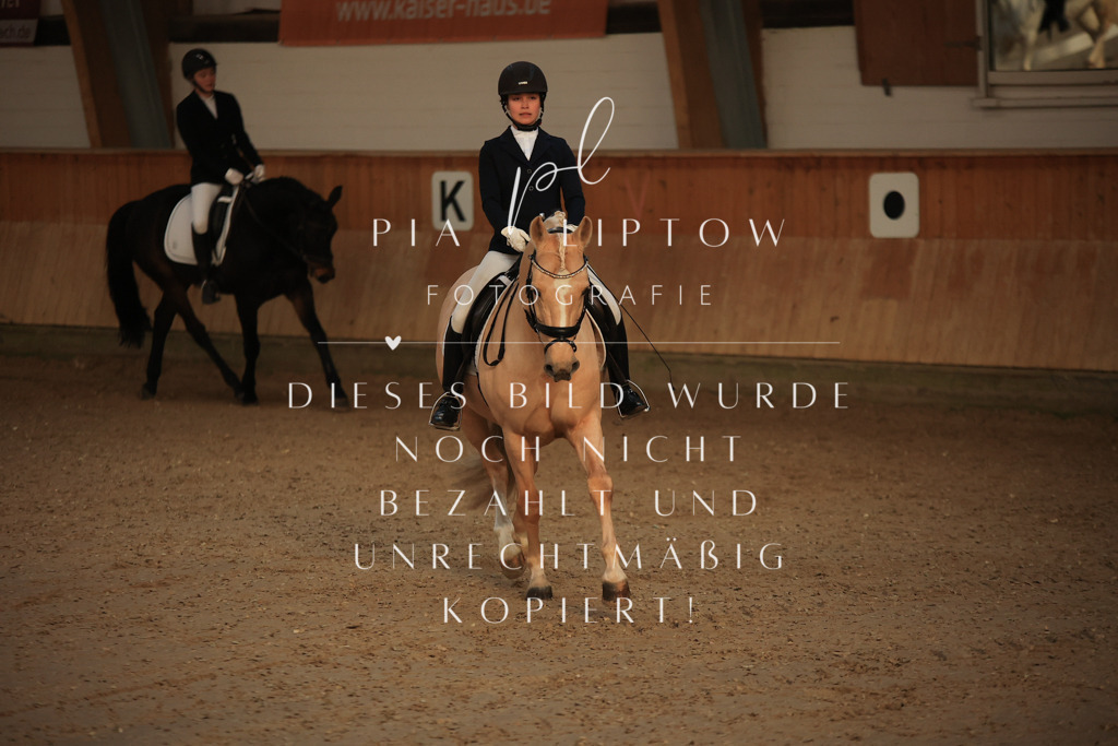 IMGT3200 | pl-fotografie