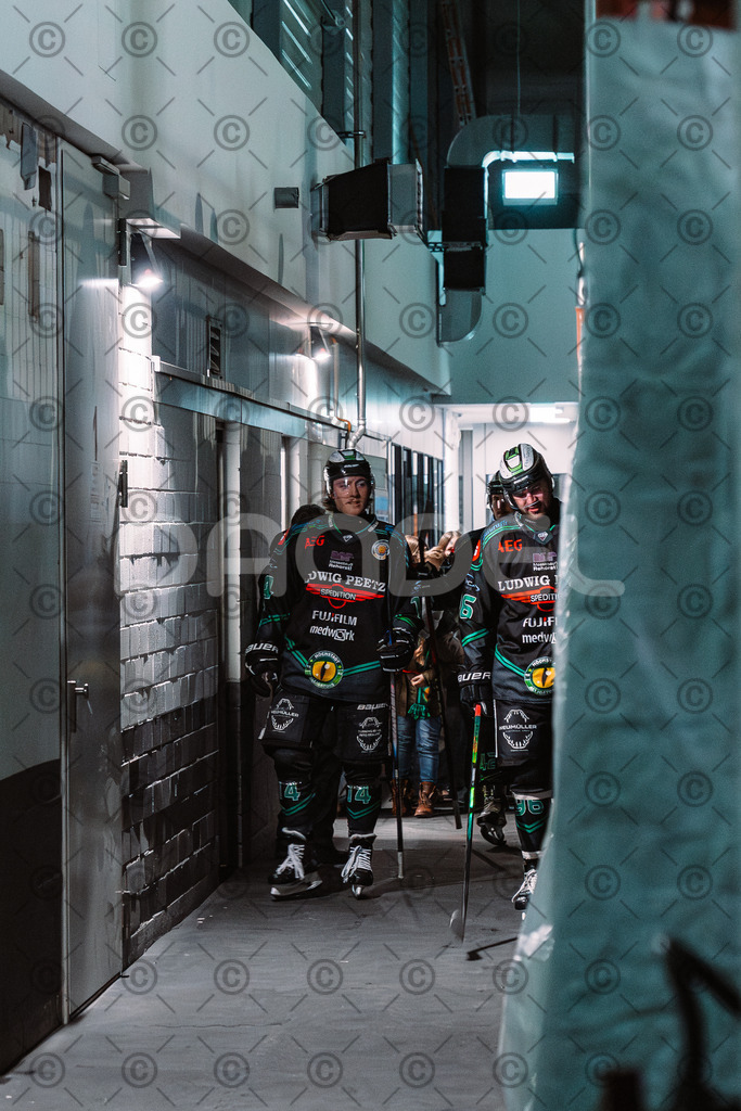 Alligators_vs_Toelz_18_11_2025-07 | Höchstadt Alligators Fotogalerie: Eishockey-Action aus Franken. Professionelle Spielfotos, Portraits & Stadionbilder zum Download. Jetzt entdecken! - Realisiert mit Pictrs.com