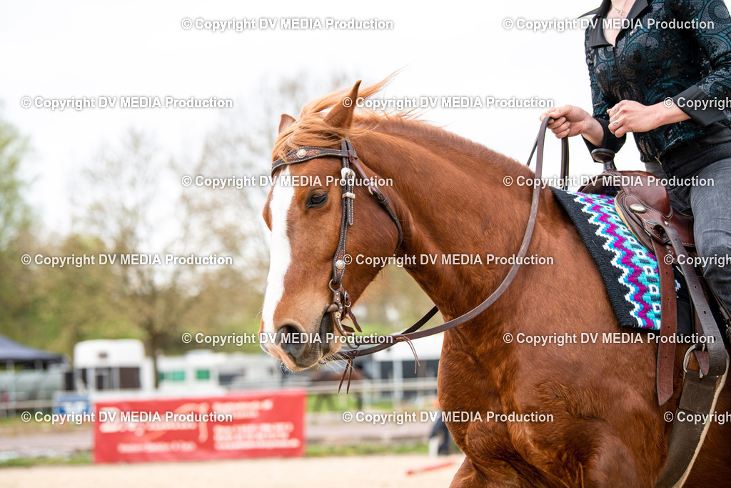 Heiligenwald Tag 1-289 | dv-media-shop - Realisiert mit Pictrs.com