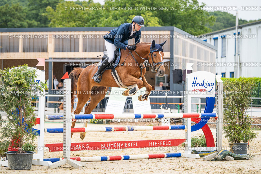 DSC09918 | Pferdegrafie