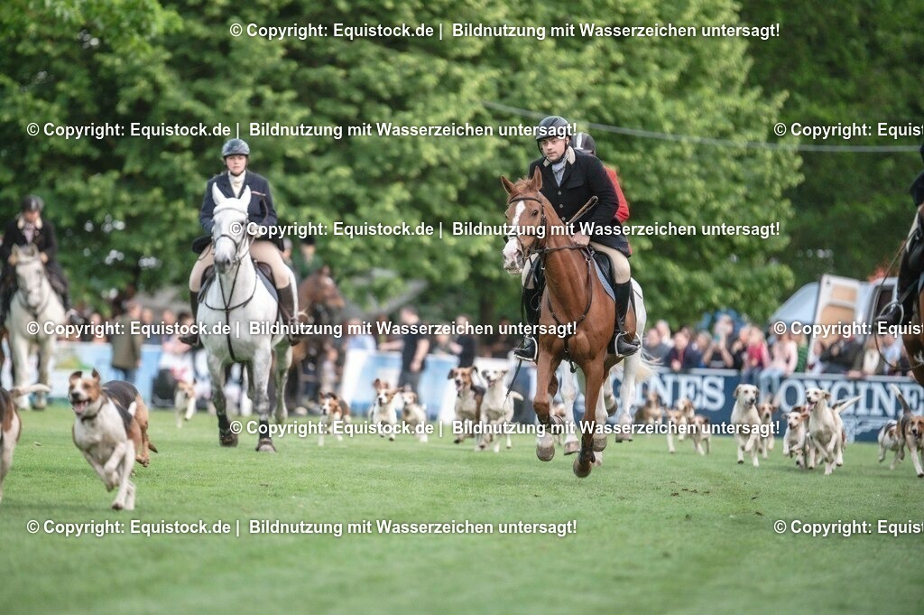 20230526_Pferdenacht_0521 | equistock