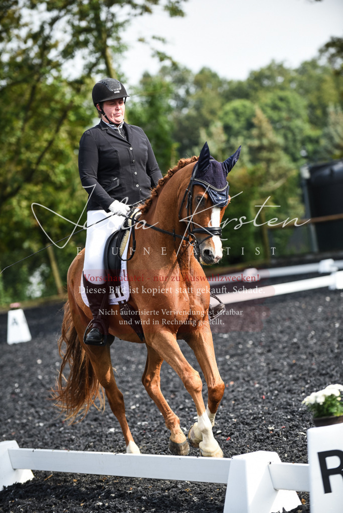 DSC_3065 | Pferde- und Turnierfotografie in Westsachsen. Pferdeportraits, Auftragszeichnungen und intuitive Kunst.