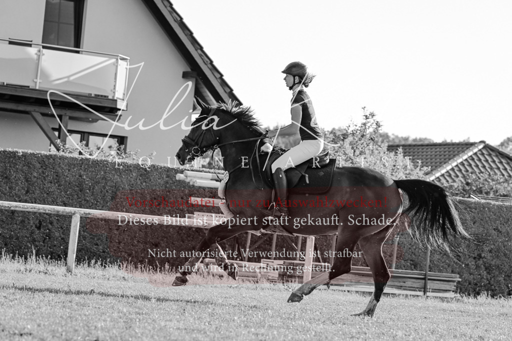 DSC_3123 | Pferde- und Turnierfotografie in Westsachsen. Pferdeportraits, Auftragszeichnungen und intuitive Kunst.