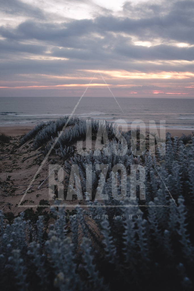 DSCF0229 | jasonraizor - Realisiert mit Pictrs.com