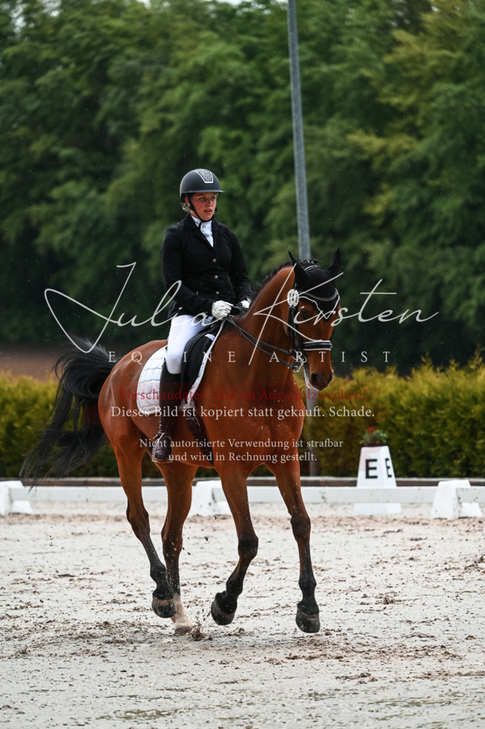 DSC_4404 | Pferde- und Turnierfotografie in Westsachsen. Pferdeportraits, Auftragszeichnungen und intuitive Kunst.