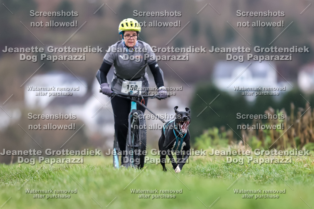 Dog Paparazzi - Herkules Race  2025-32 | Dog Paparazzi Jeanette Grottendiek Fotografie & Videografie - Realisiert mit Pictrs.com