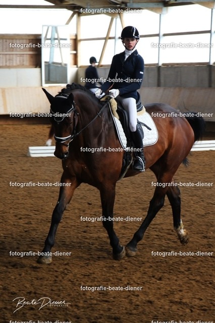 JugendTrophy0141 | Fotografie, Tiere, Hunde, Katzen, Pferde, Sportfotografie, Fotosession, Tierfotografie, Turnierfotografie, Fotografin, Fotograf - Realisiert mit Pictrs.com