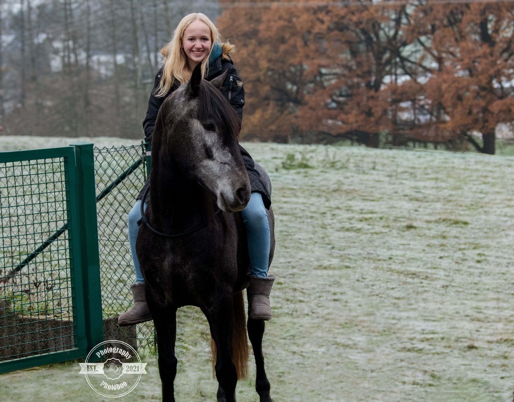 Lieblingsbilder_Photoboo_12 | Pferde- und Hundefotografie in Köln und Umgebung von Vanessza Csuka - Realisiert mit Pictrs.com