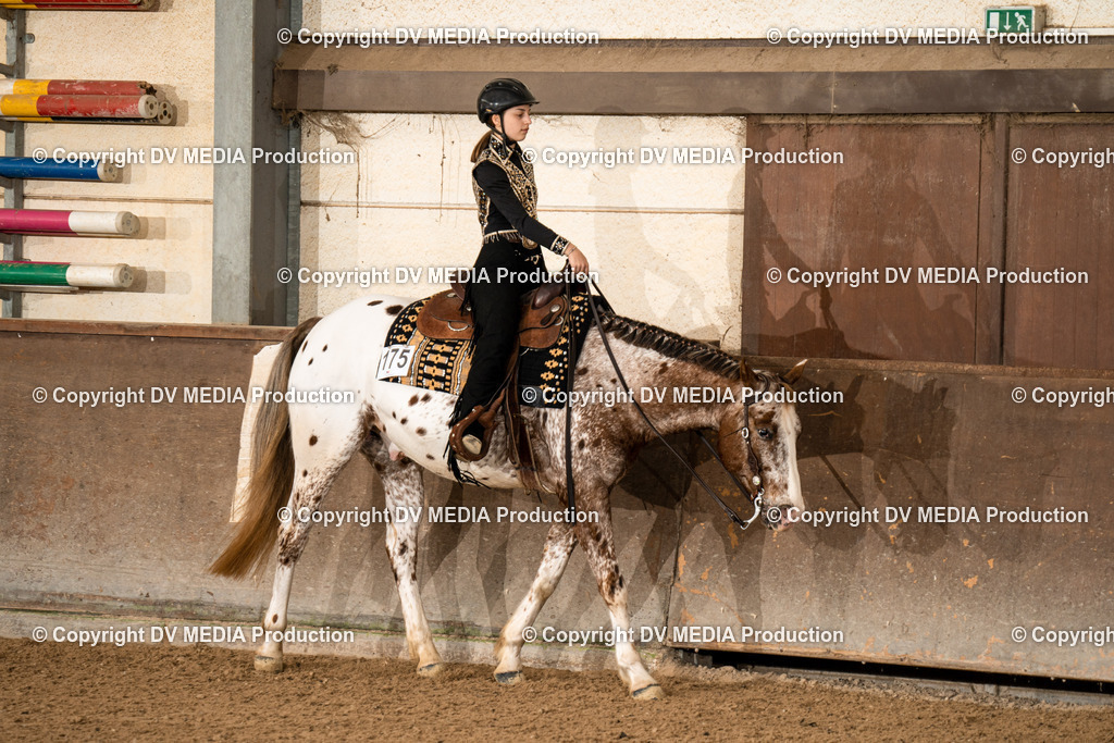 Heiligenwald Tag 2-129 | dv-media-shop - Realisiert mit Pictrs.com