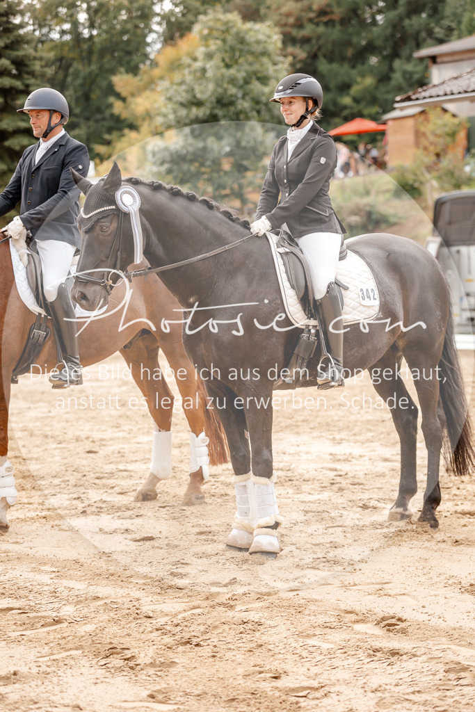 3I6A3724 | Stimmungsvolle Portraits und Reitsportfotografie im Ruhrgebiet und im Münsterland.

Pferdefotografie, Hundefotografie, Tierfotografie, Reportagen, Portraits von Tier und Mensch, Turnierfotografie in Bochum, Recklinghausen, Marl, Haltern am See, Dülmen.. - Realisiert mit Pictrs.com