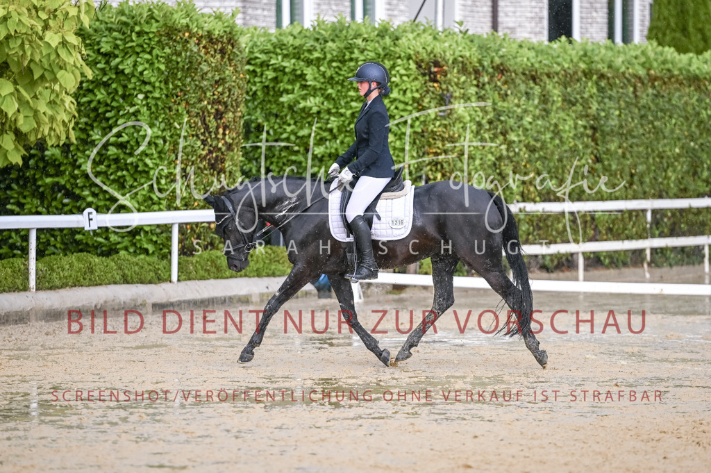 Schugtsche-Aluta25-55.Dressurreiterprf.L1Tr-328 | Schugtsche Fotografie - Realisiert mit Pictrs.com