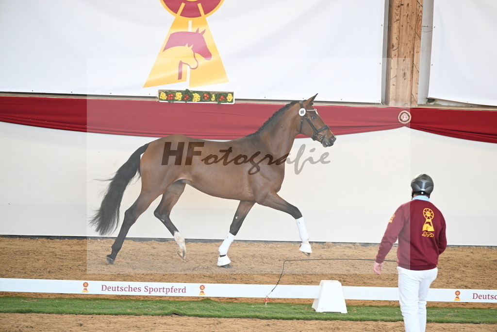 Kat.-Nr. 88 v. Vitalis_Schlamminger_2250676 | hf-fotografie - Realisiert mit Pictrs.com