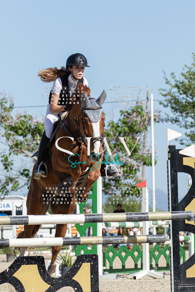 IMG_1046 | s-jay-photography - Realisiert mit Pictrs.com