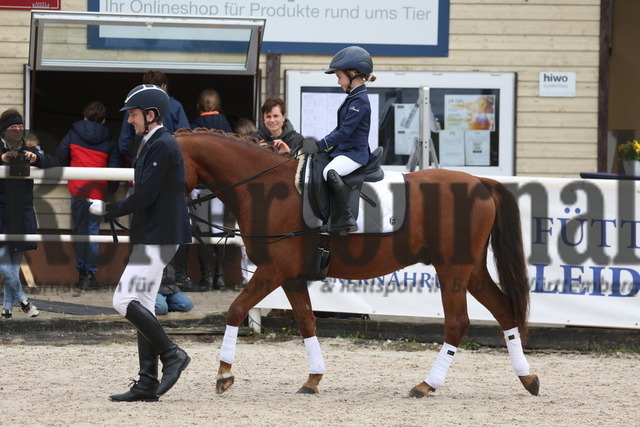 Birkhof_2023_Führzügel-WB_Gruppe_05 (3) | Alle Fotos der Reiterjournal Fotografin Doris Matthaes im Reiterjournal Online-Fotoshop. - Realisiert mit Pictrs.com