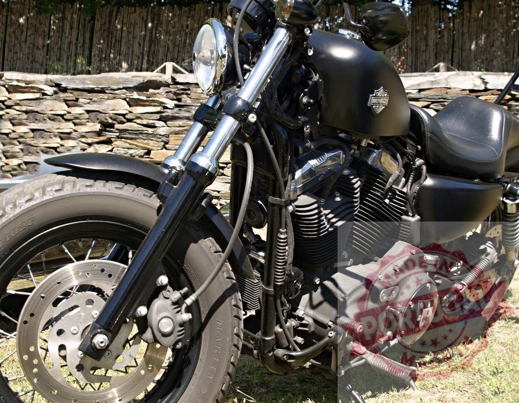 Powerful Harley-Davidson Iron 883 Motorcycle Displaying its Engine | Black Harley-Davidson Iron 883 parked near a stone wall, showing its powerful engine and front wheel - Realisiert mit Pictrs.com