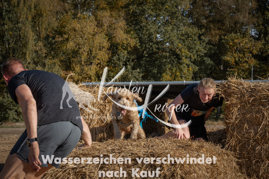 1100_ZZ99806 | kk-dogfotos