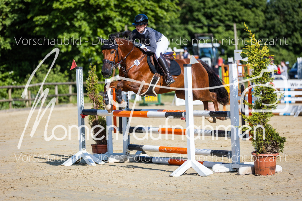 Donop24-ASpr-064 | MomenTaufnahmen Pferdesportfotos