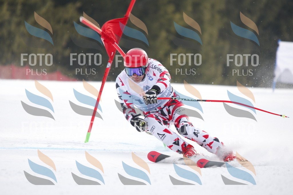 D6490 | holidayphoto