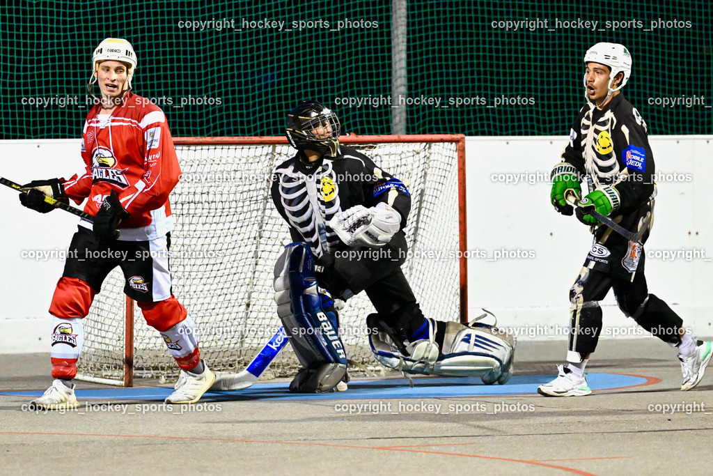 Team Zehenthof vs. HSC Eagles 7.7.2023 | #72 Lindner Lorenz, #25 ORTNER Fabian, #96 Granza Iacopo