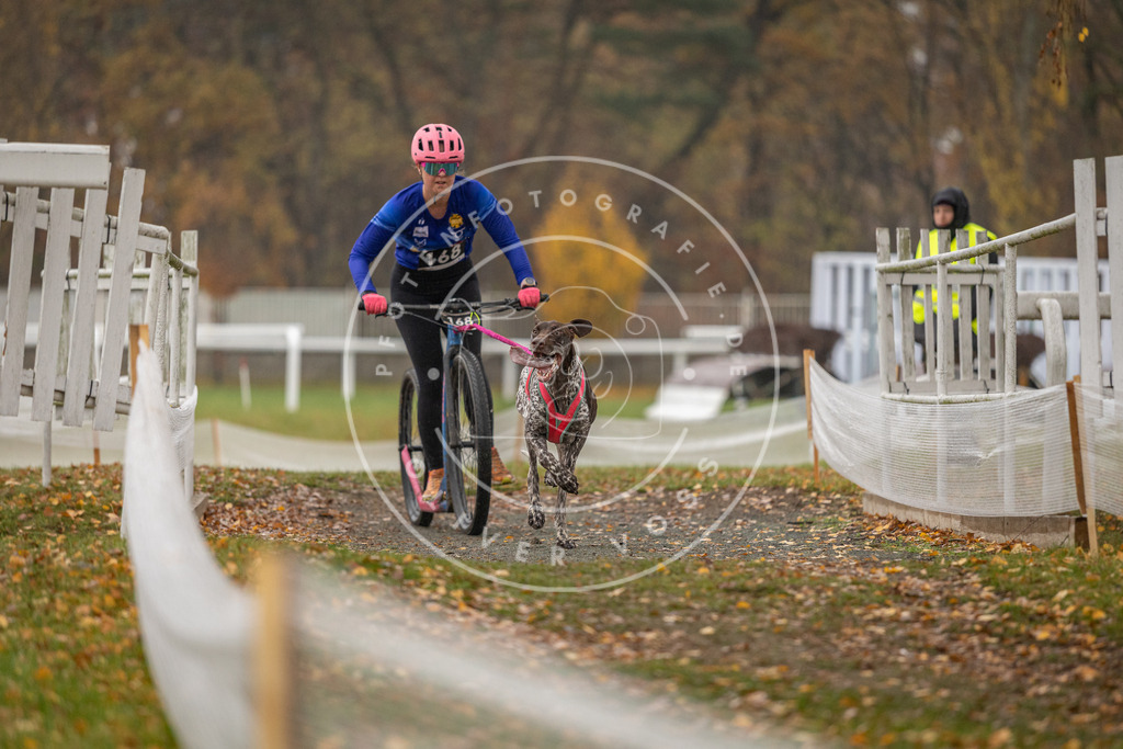 CaniXpix_DV3A8177 | Hundefotografie, Tierfotograf, Pfotenfotografie, Fotoshooting Hund, Hunde Portrait, Hundesport, Hundeportraits, Heideshooting, Hunde, Sportfotograf, Hundefotograf, Turnierhundsport, THS,  - Realisiert mit Pictrs.com