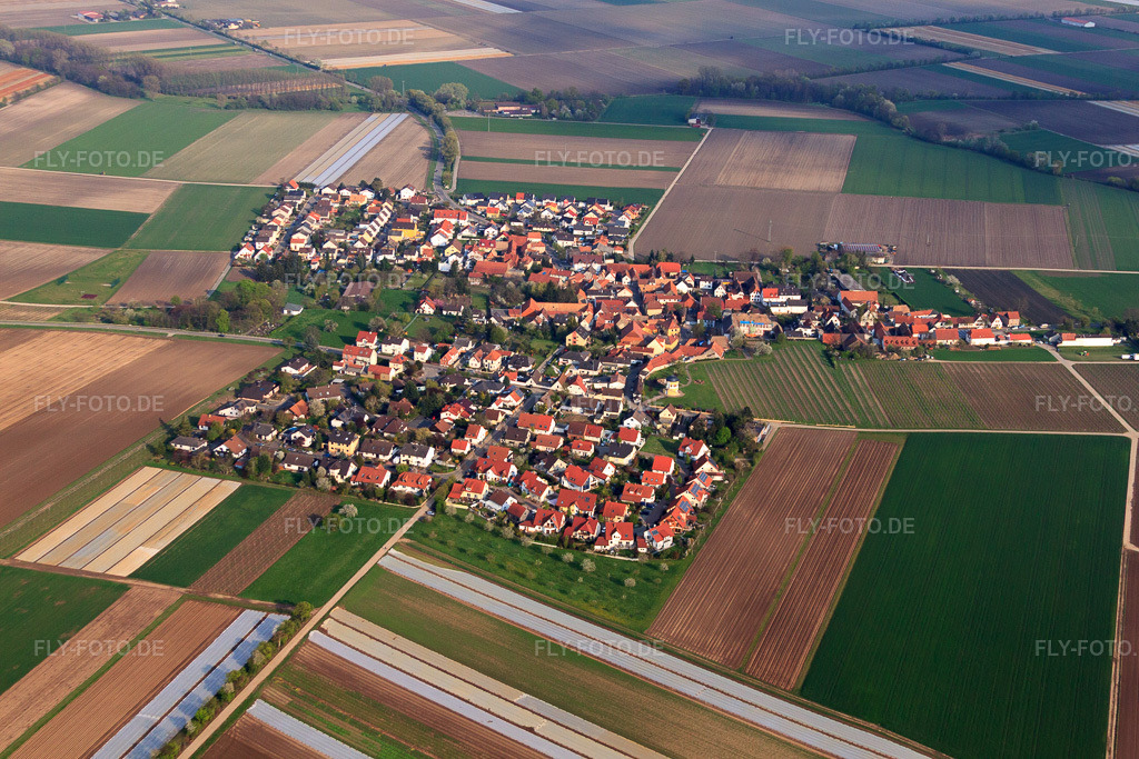 Luftbild: Ortsansicht von Westen in Kleinniedesheim im Bundesland Rheinland-Pfalz in Deutschland. Foto: IMG_49850.jpg vom 13.04.2012 durch Werner Riehm/FLY-FOTO.deAuflösung des Originals: 4752 x 3168 px