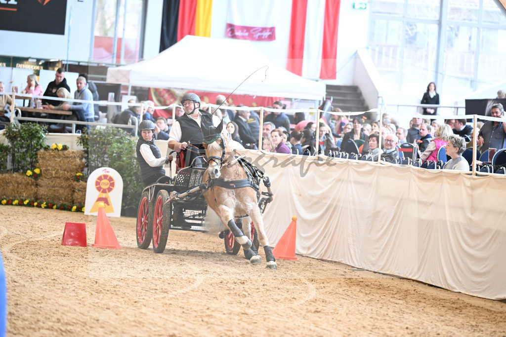 Schauprogramm Haflinger Fahrsport_2251451 | hf-fotografie - Realizzato con Pictrs.com