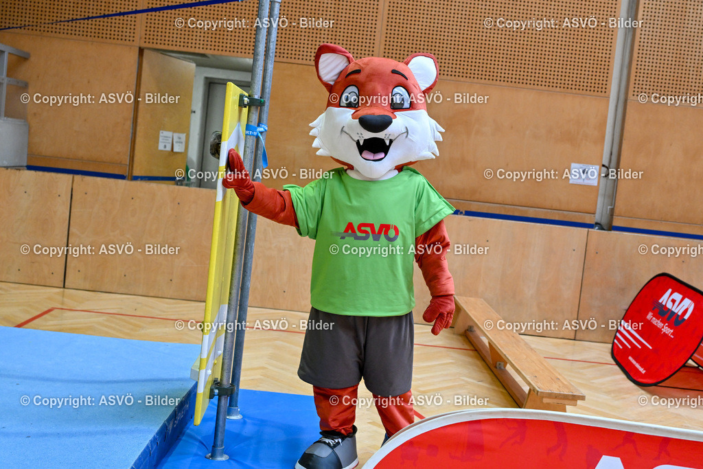  ASVÖ Steiermark mit Michaela Schmidt (SP_ Staatssekretärin für Sport)-ASVÖ_ mit Staatssekretärin Michaela Schmidt_ 05.03.2026-11 | 05.03.2026, GRAZ, AUT, ASVÖ Steiermark mit Michaela Schmidt (SP, Staatssekretärin für Sport)© ASVÖ Steiermark/Dostal - Realisiert mit Pictrs.com