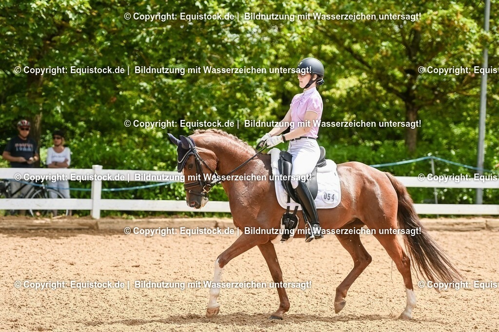 20230716_03_Dressurprfg. Kl.L - Tr._0214 | equistock