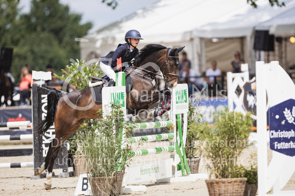 250711_BHO_A2-Spr-2-245 | Deine schönsten Turniermomente als professionelle Fotos! Entdecke hochwertige Pferdesport-Fotografie im Online-Shop. Jetzt Fotos finden & bestellen!