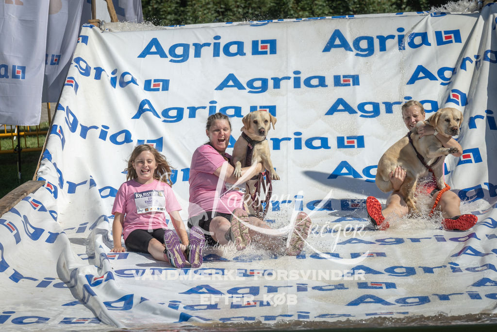 1151_ZZ94383 | kk-dogfotos