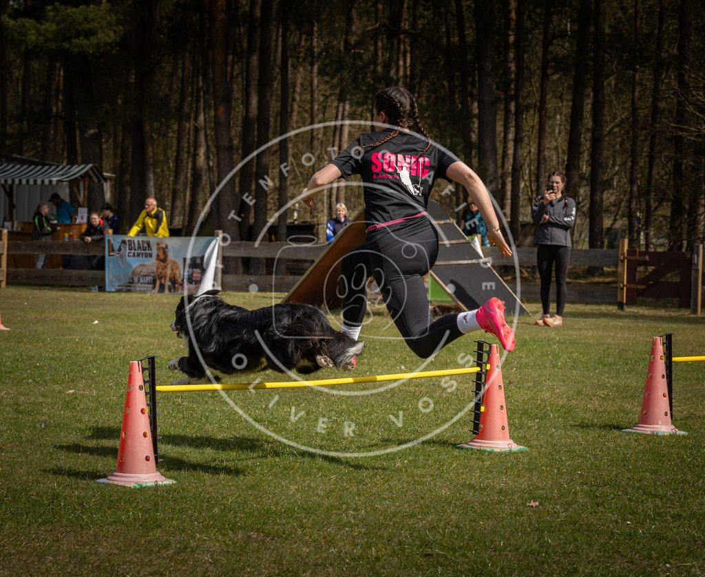 Pfotenfotografie_DV3A4092 | Hundefotografie, Tierfotograf, Pfotenfotografie, Fotoshooting Hund, Hunde Portrait, Hundesport, Hundeportraits, Heideshooting, Hunde, Sportfotograf, Hundefotograf, Turnierhundsport, THS,  - Realisiert mit Pictrs.com