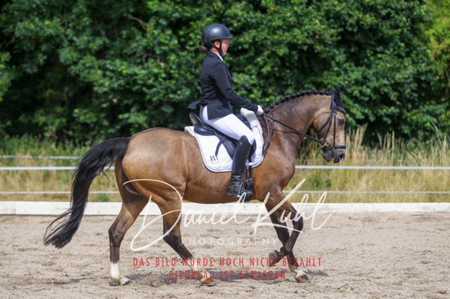 DKP46714 | Turniersportfotografie; Pferdefotografie; Dressurfotografie