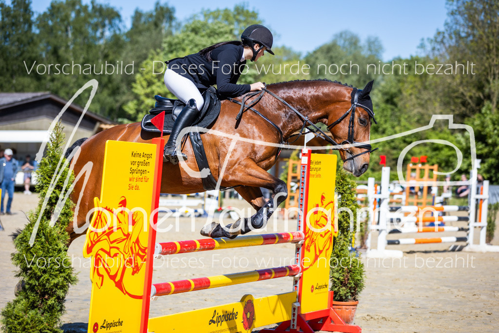 Donop24-A2Spr-096 | MomenTaufnahmen Pferdesportfotos