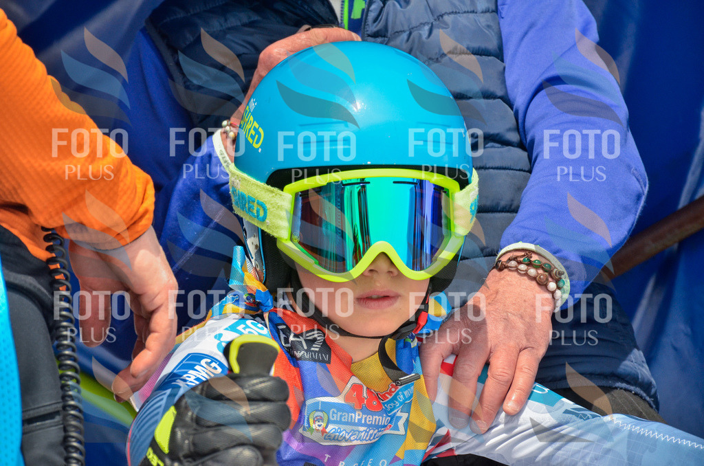 _ELE7359 | holidayphoto