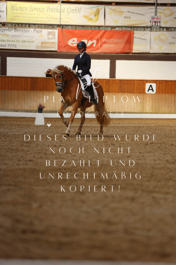 IMGM3775 | pl-fotografie